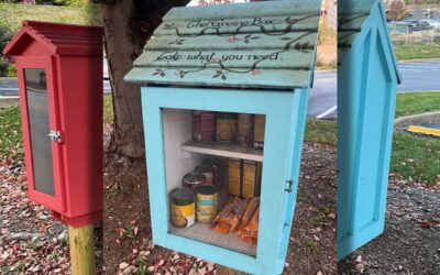 Little Free Food Pantries – Take What You Need, Give What You Can